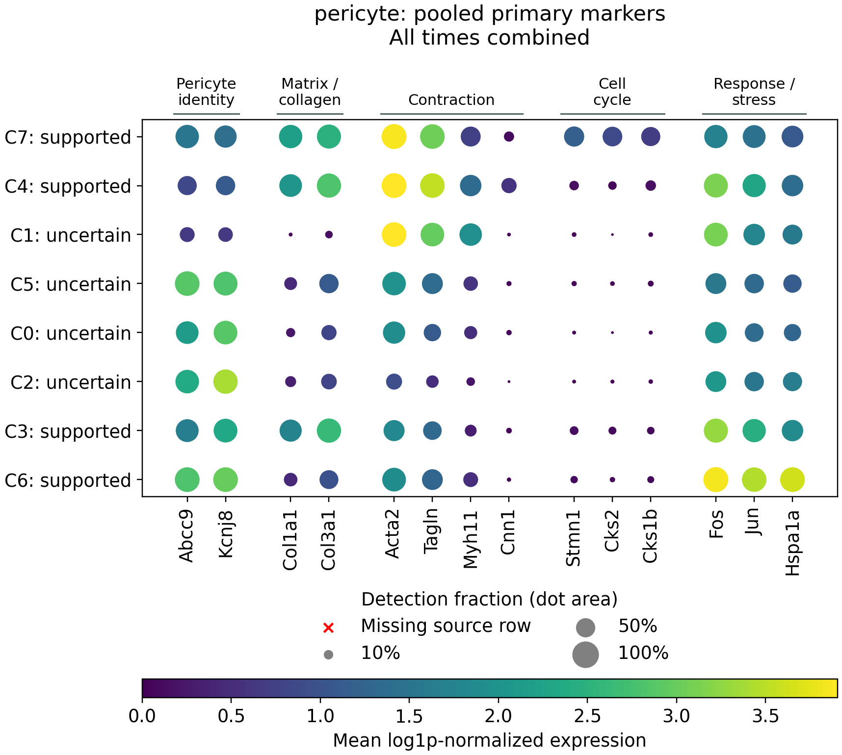 Pericyte marker dotplot: C3 and C4 express matrix-associated genes, C4 has stronger contractile RNA, C7 also has cell-cycle-associated RNA, and C6 has a Fos/Jun/Hspa1a-high pattern. C0, C1, C2 and C5 are labelled uncertain. Rows follow marker-similarity order C7, C4, C1, C5, C0, C2, C3, C6; cluster labels and confidence are unchanged.