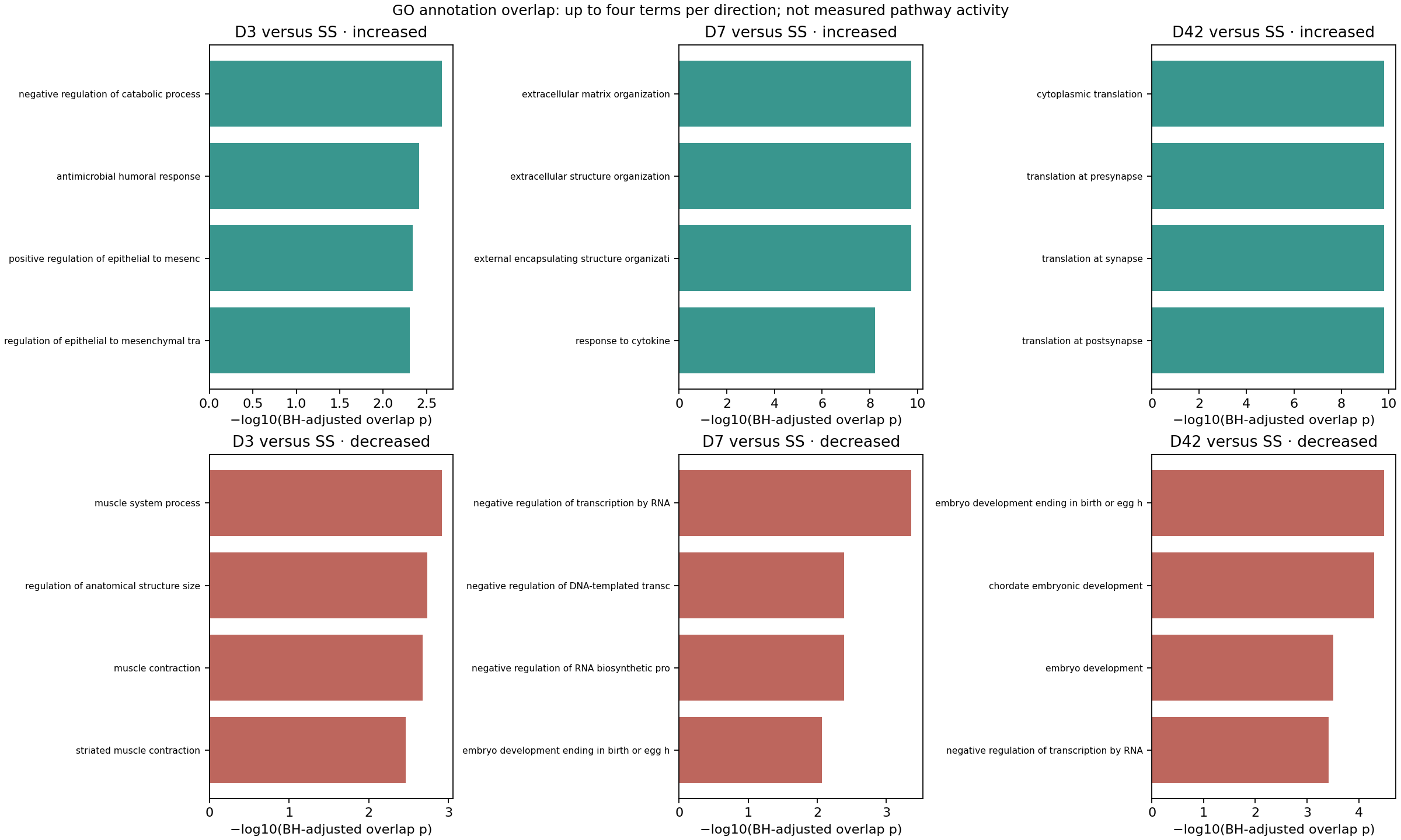 GO overrepresentation results by injury comparison and direction, with assessability and multiple-testing context.