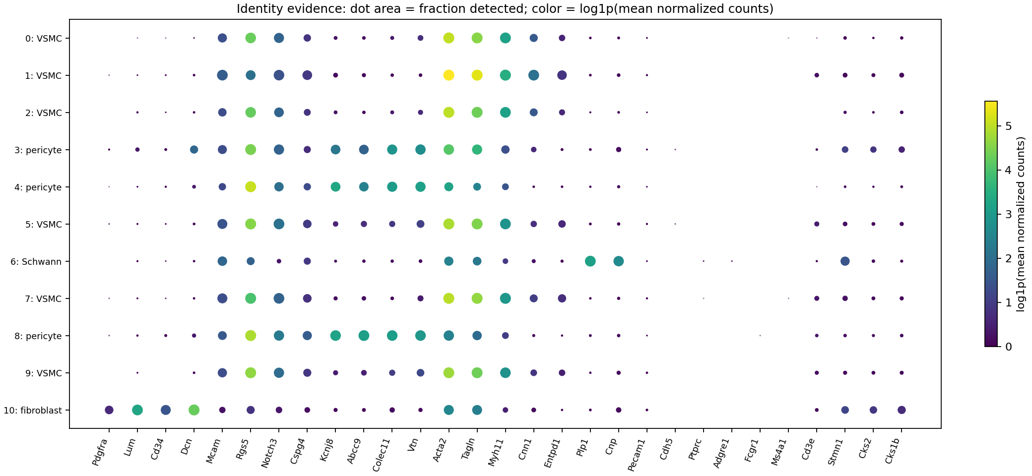 Marker expression and detection across primary clusters supporting broad identity decisions.