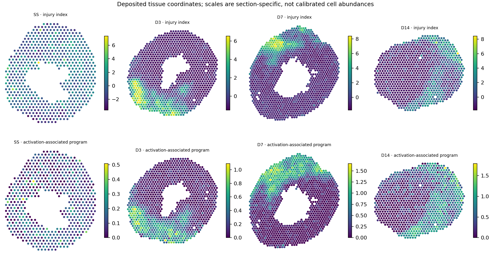 Spatial activation-associated program and molecular injury-index maps for the deposited heart sections.