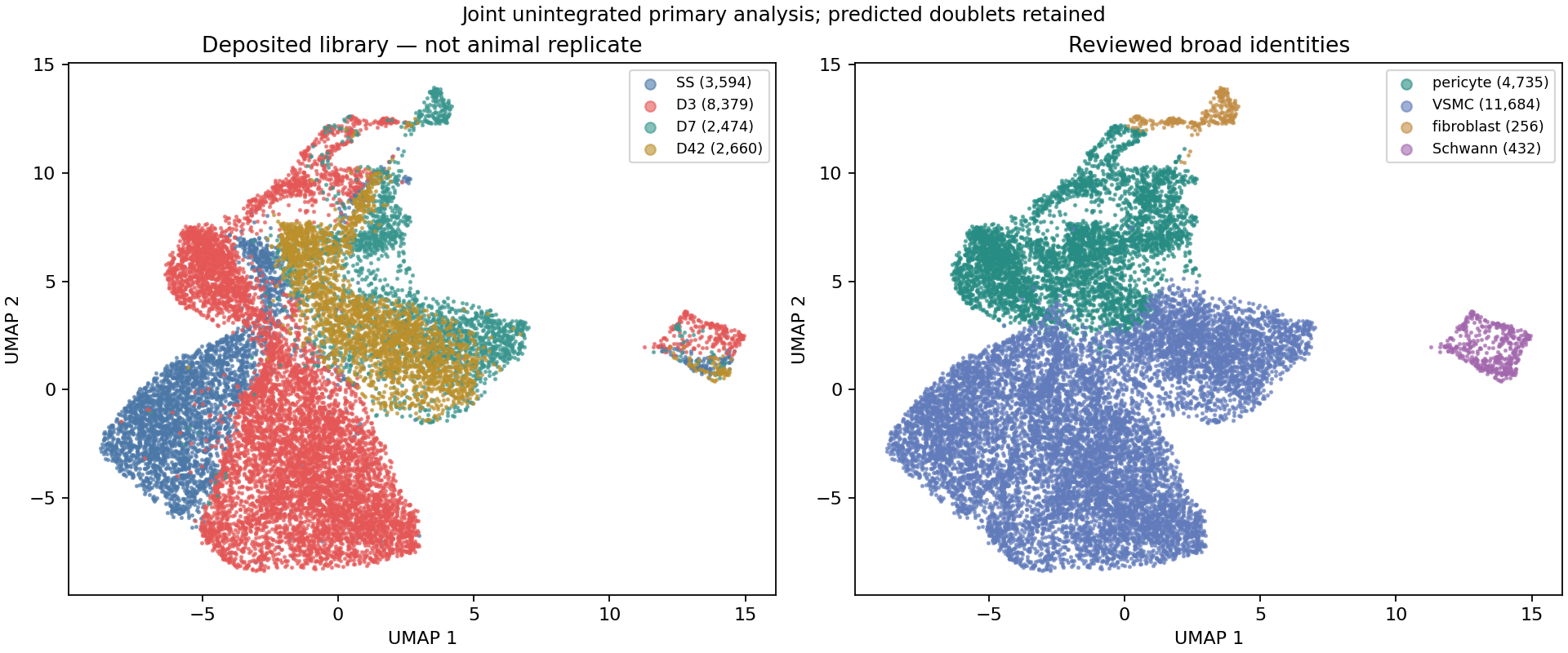 Primary cell embedding showing broad annotations and relevant library or QC context.
