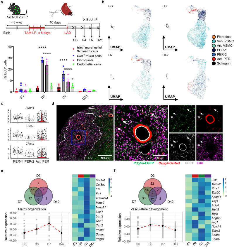 Tung Figure 2, with panel b showing source cell annotations across SS, D3, D7 and D42.
