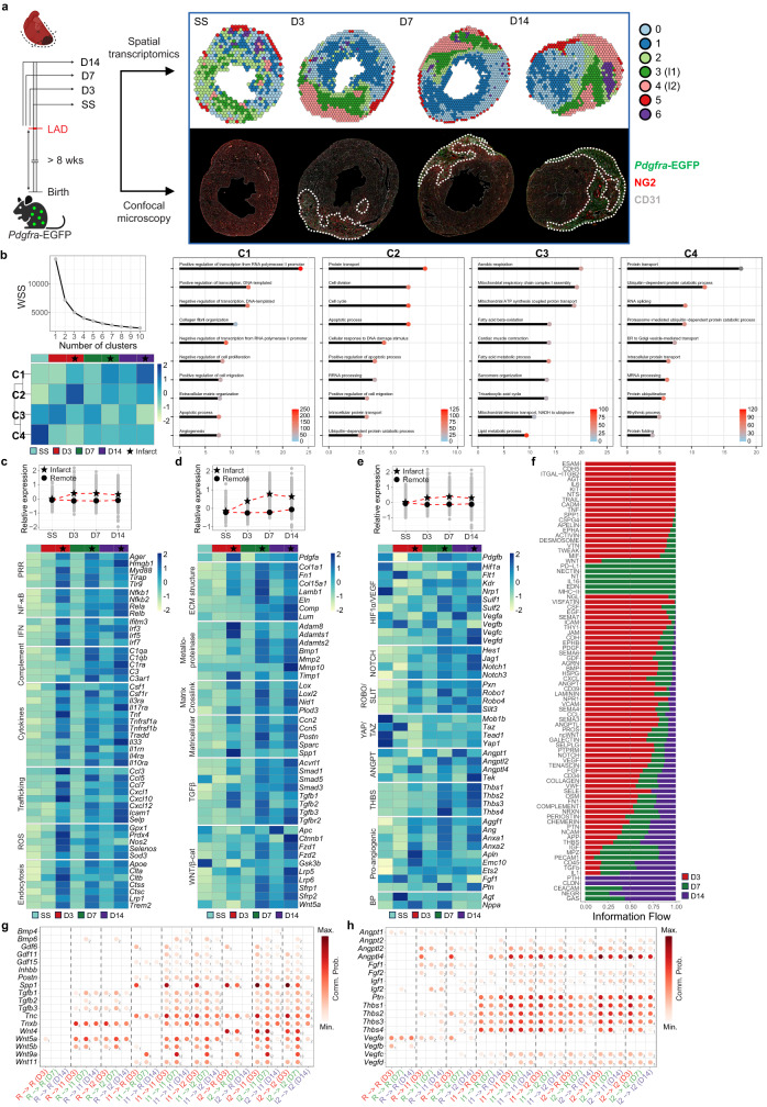 Tung Figure 5, whose panel a pairs spatial cluster maps with serial-section microscopy.
