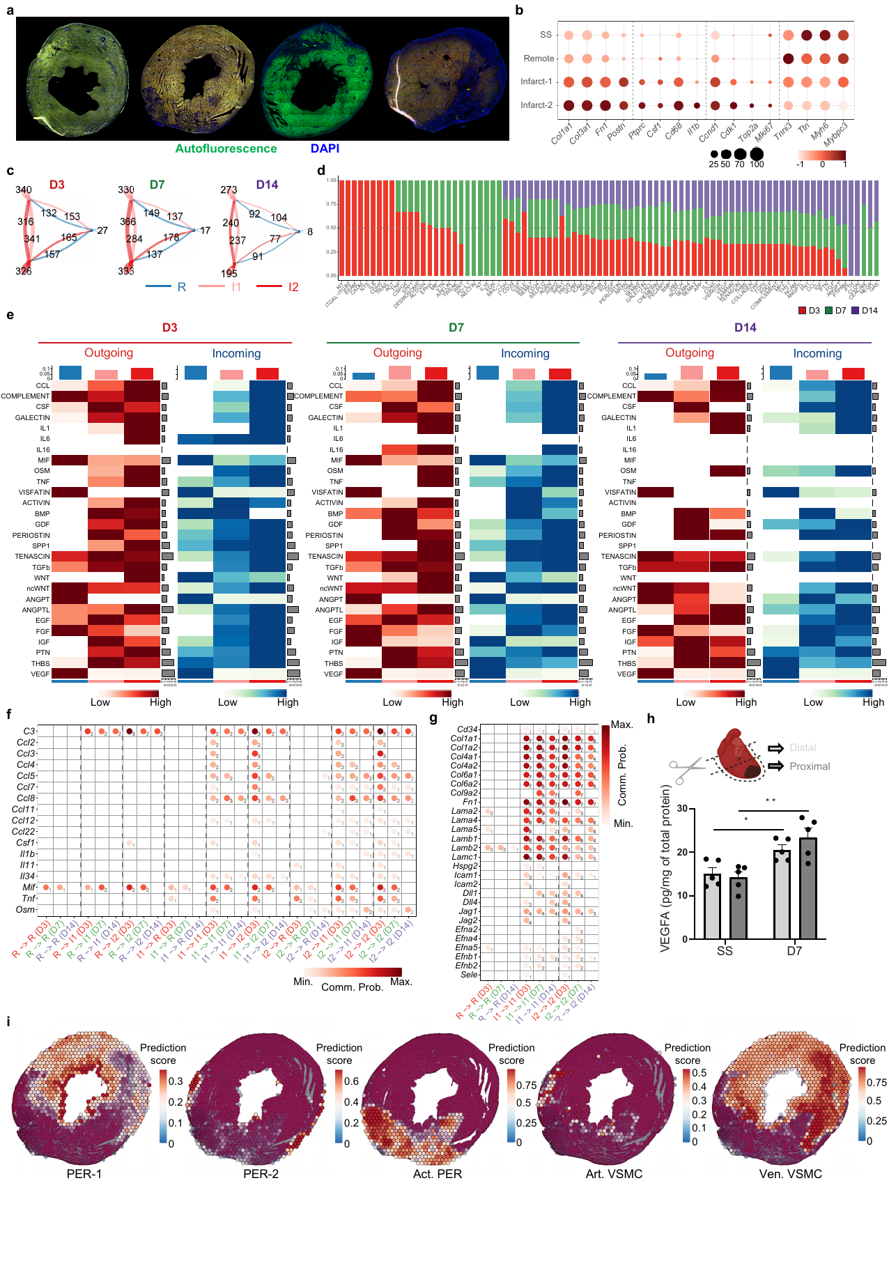 Tung Supplementary Figure 5 with panel i showing reference-based prediction scores over tissue.